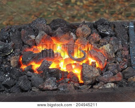 blacksmith burns coal on it is a hot horseshoe