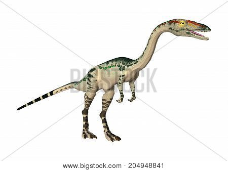 3D Rendering Dinosaur Coelophysis On White