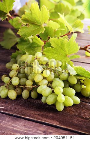 Grapes on wooden table and grape leaves . Healthy fresh fruit wine grapes.