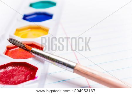 Brush and Bright colored watercolor paints. Back to school. Stationery.