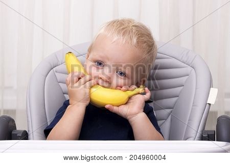Cute one year old toddler eating a banana and sitting in the baby chair. Funny kid with banana smile.
