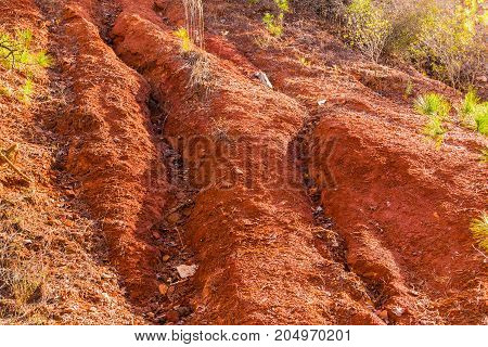 Red loamy ground of the wall of Providence Canyon closeup USA