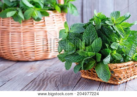 Bunch of fresh green mint on a wooden table