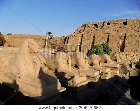 Egypt North Africa visit the Temple of Luxor Karnak