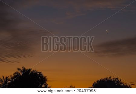 Sky at Dawn showing Mercury and sickle shaped moon