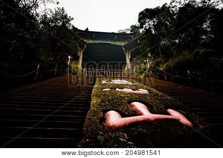 Leshan Buddha Park with chinese pagodas and  statues in Leshan, China. Top view of the Lotus Fountain