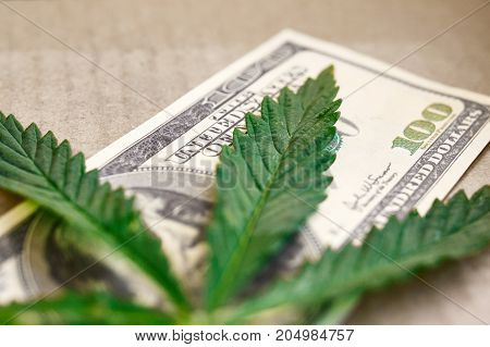 Element Of Bill Of The American Dollar With Sheet Of Cannabis, Marijuana. Money With  Leaf Of Hashis