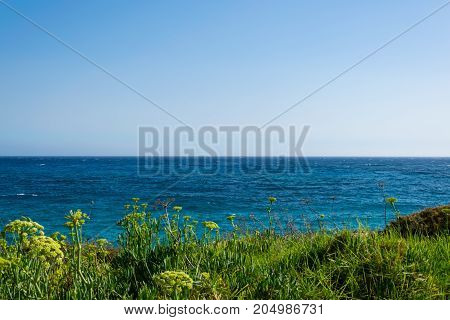 View of beautiful sky with sea skyline and grass on foreground