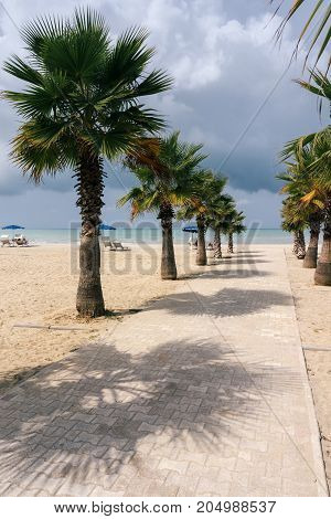 Palm alley to the Adriatic Sea in the resort area of Golem. Albania