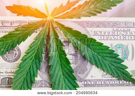 Element Of Bill Of The American Dollar With Sheet Of Cannabis, Marijuana. Money With  Leaf Of Hashis