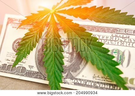 Element Of Bill Of The American Dollar With Sheet Of Cannabis, Marijuana. Money With  Leaf Of Hashis