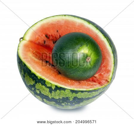 Two water-melons of various grades - big and dwarfish