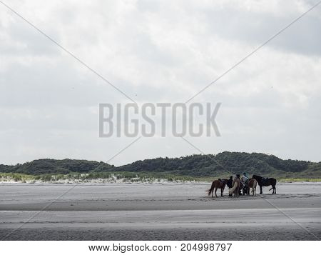 ther geman Island of spiekeroog in the North sea