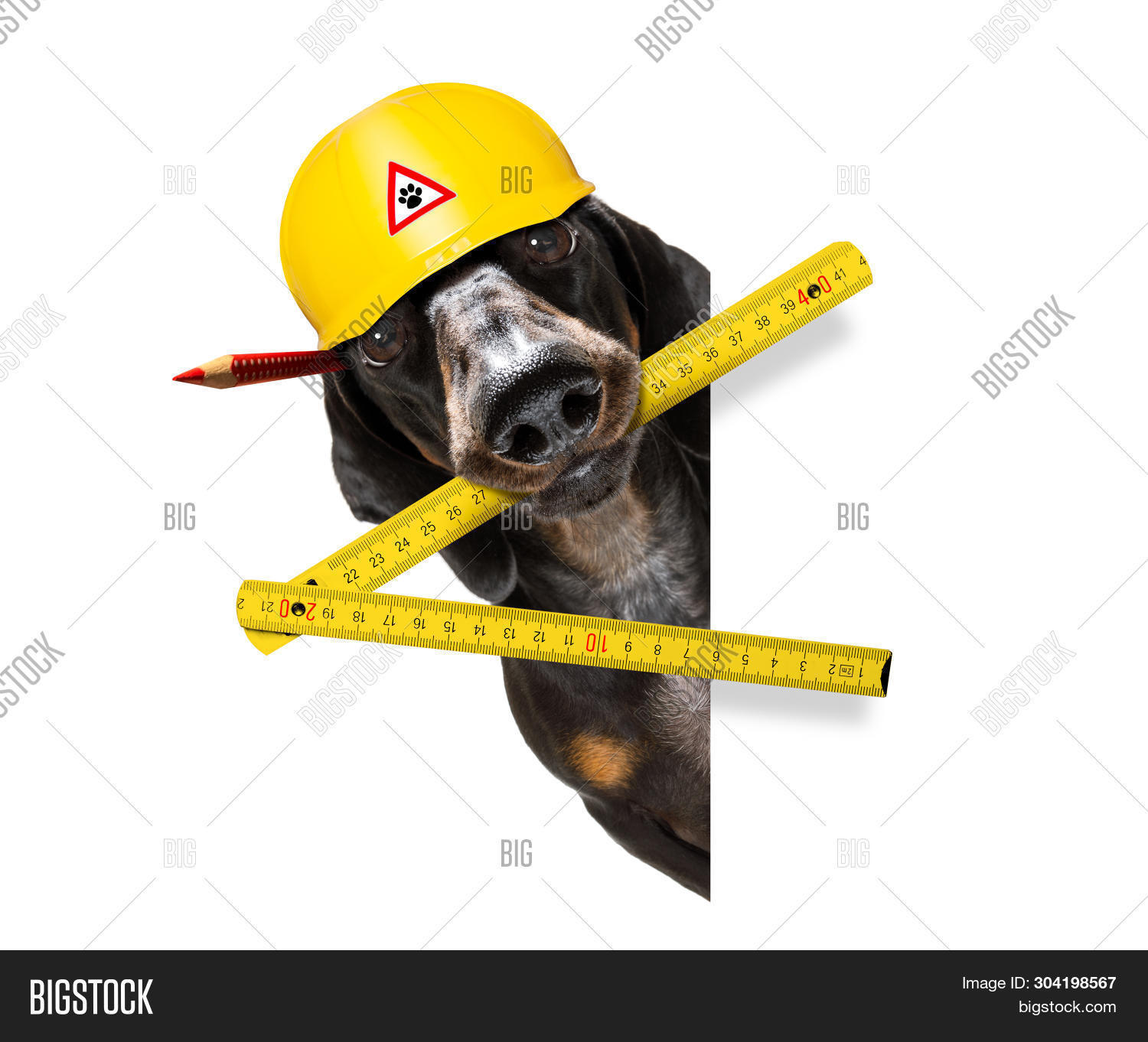 собака с гаечным ключом. собака строитель на белом фоне. собака с молотком. пес строитель. щенок и молоток фул.