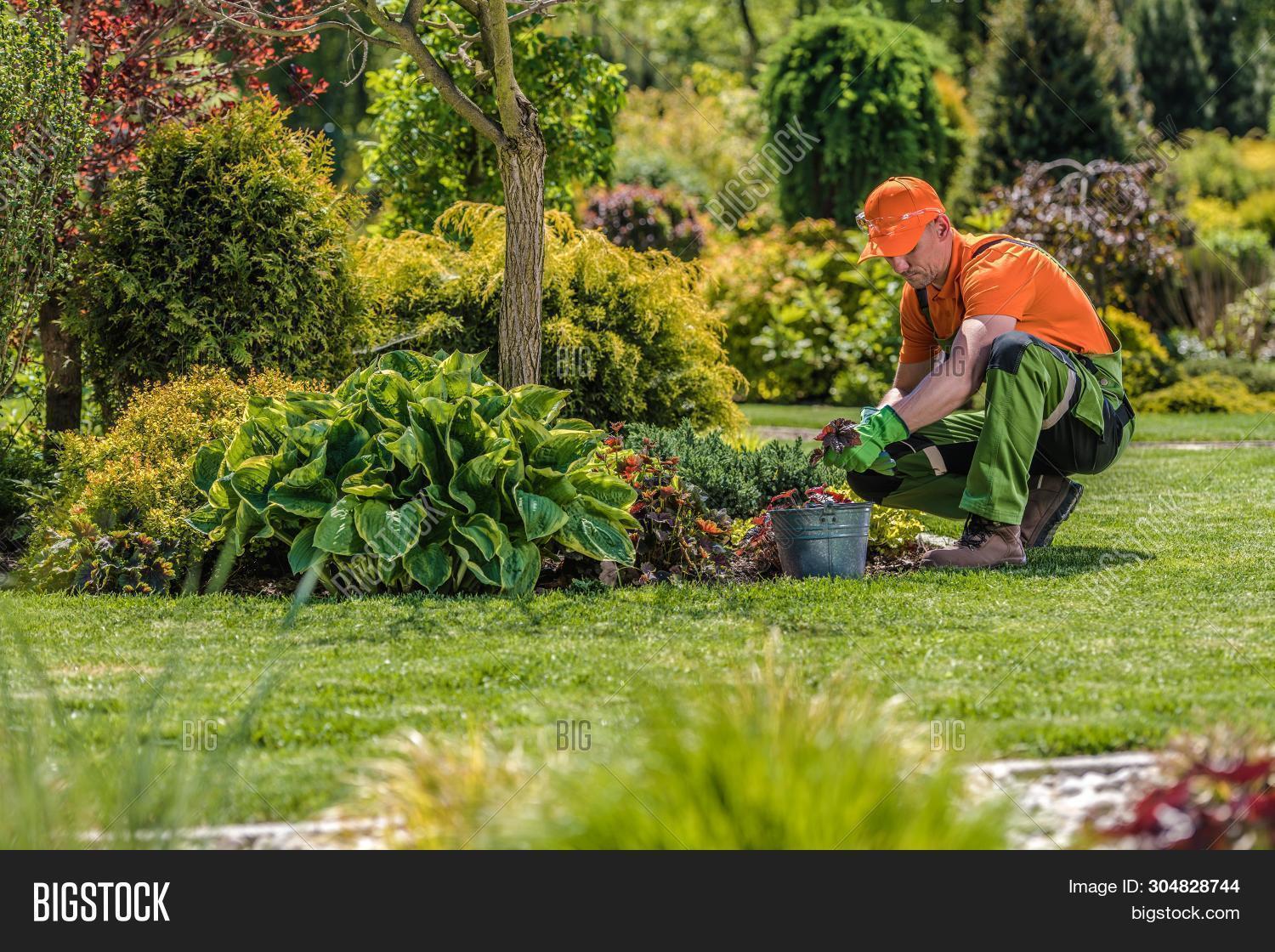 Professional Garden Image & Photo (Free Trial) Bigstock