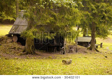 Forest lodge