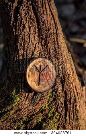 Rune Of Algiz (also Elhaz) Carved From Wood On A Dry Stump
