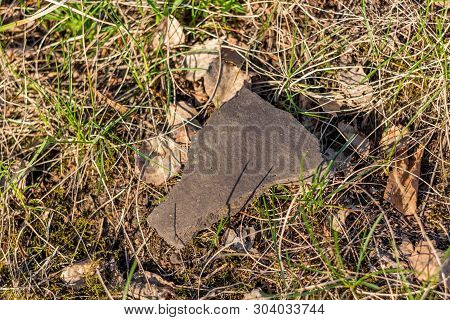 A Shard From A Ceramic Vessel From An Ancient Settlement, Archaeological Finds