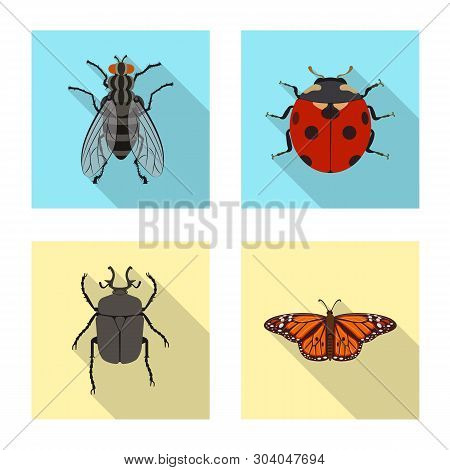 Isolated Object Of Insect And Fly Icon. Collection Of Insect And Element Vector Icon For Stock.