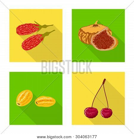 Isolated Object Of Fruit And Dried  Symbol. Set Of Fruit And Food  Vector Icon For Stock.