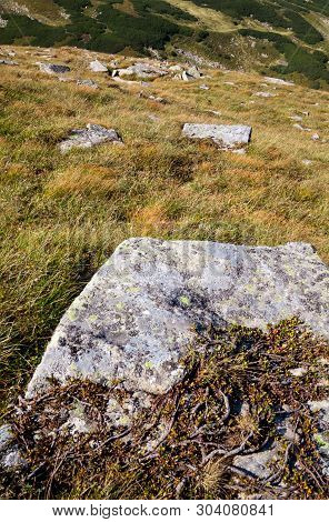 Stones On The Mountain Slope In The Ukrainian Carpathians.