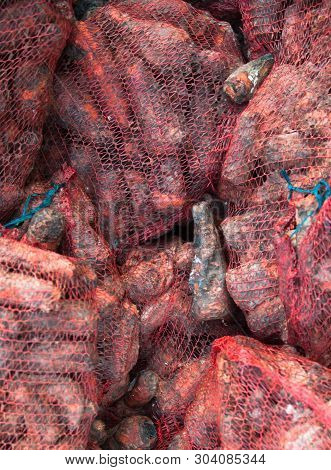 Rotten Carrots In Mesh Bags On The Landfill. Spoilt Products. Pile Of Garbage.