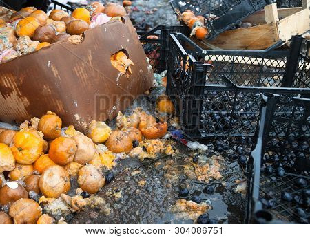 Rotten Mandarin Oranges On The Landfill. Spoilt Citrus Products. Rotten Tropical Fruit. Pile Of Garb