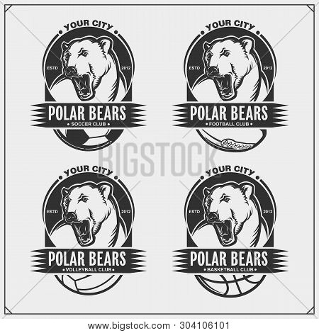 Volleyball, Basketball, Soccer And Football Logos And Labels. Sport Club Emblems With Polar Bear. Pr