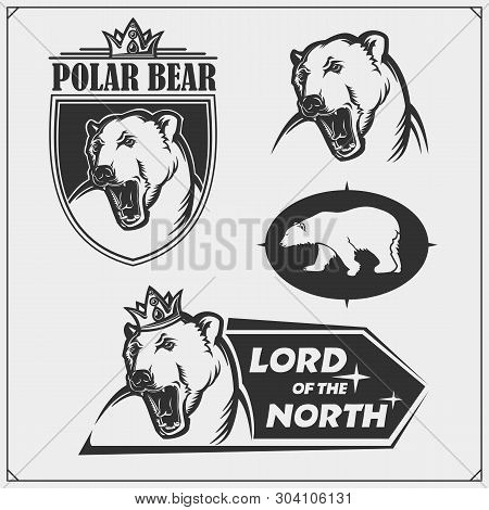 Labels, Emblems And Design Elements For Sport Club With Polar Bear. Print Design For T-shirt.
