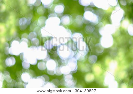 Abstract Background With Green, Yellow Und White Sircle Bokeh. Summer Background.