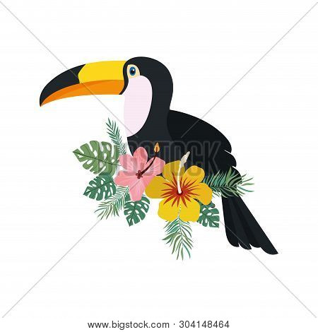 Beautiful Toucan On White Background Vector Illustration Design