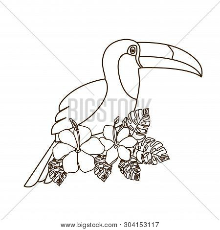 Beautiful Toucan On White Background Vector Illustration Design