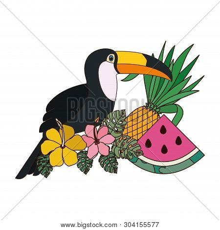 Beautiful Toucan On White Background Vector Illustration Design