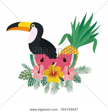 Beautiful Toucan On White Background Vector Illustration Design