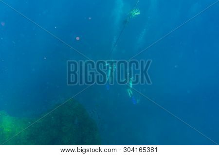 Scuba Diving Water Sport Activity