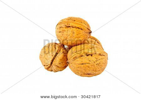 Walnut pyramidi