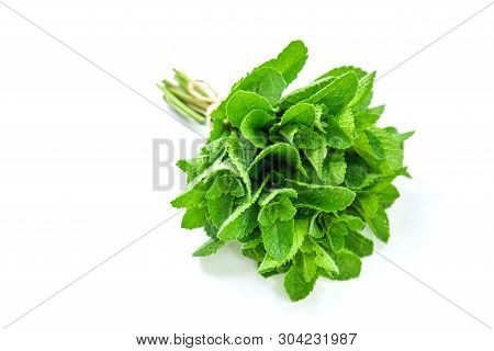 Fresh Homemade Greens From The Garden. Isolate Selective Focus.