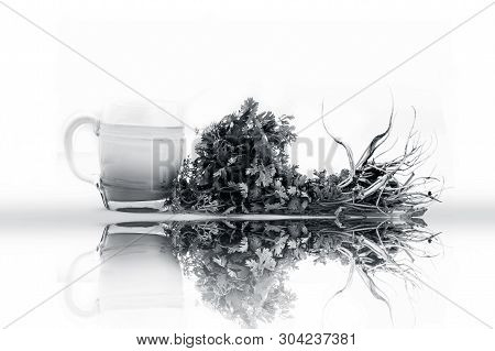 Fresh Parsley Juice  Or Coriander Juice In A Transparent Glass Isolated On White With Fresh Parsley 