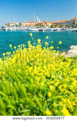 Scenic Harbour With Boats And Brightly Coloured Houses On The Flowers Forground Waterfront In Izola 