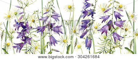 Background From Watercolor Wild Flowers On A White Background