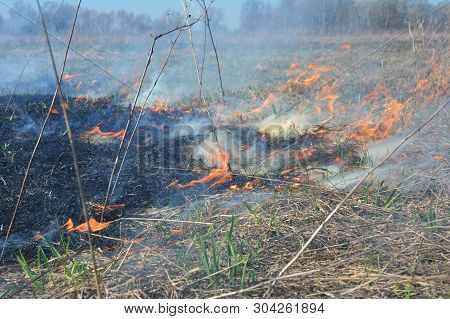 Burning Dry, Dead Grass. The Reasons For Spring Grass Burning Are Largely Unfounded And Rather Than 