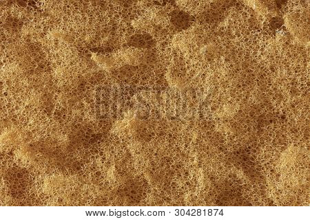 Macro Image Of The Orange Texture Of A Large Cleaning Sponge