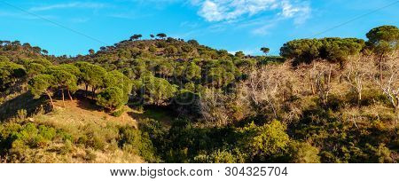 Panoramic View Over The Montes De Malaga, Andalucia, Spain