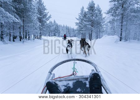 Saariselka, Finland - December 30, 2017: Dogsledding In Lapland During Polar Night