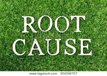 Wood Alphabet Letter In Word Root Cause On Green Grass Background