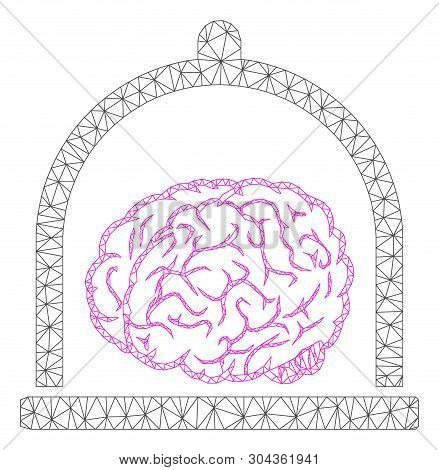 Mesh Brain Conservation Polygonal Icon Vector Illustration. Abstraction Is Based On Brain Conservati