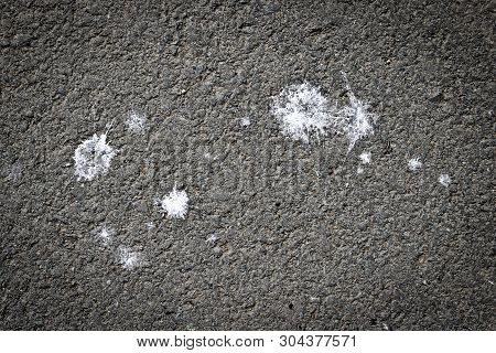 Bird Droppings On Asphalt Road Surface, Texture Of Bird Excrement. The Concept Of Sanitation, Hygien