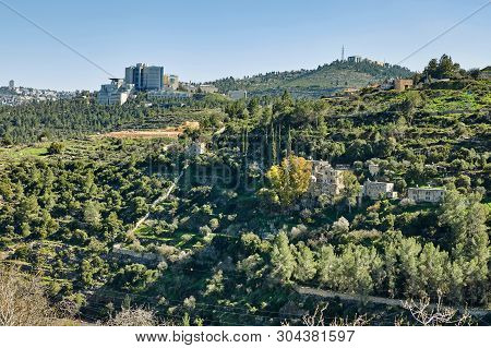 Forest Of Sataf West Of Jerusalem Israel. A Beautiful Area Of Hiking And Enjoying The Nature.