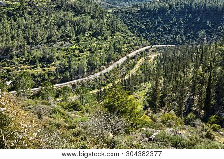Forest Of Sataf West Of Jerusalem Israel. A Beautiful Area Of Hiking And Enjoying The Nature.