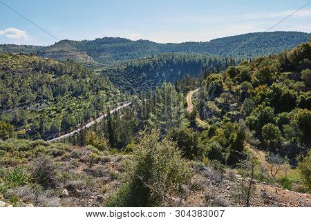 Forest Of Sataf West Of Jerusalem Israel. A Beautiful Area Of Hiking And Enjoying The Nature.
